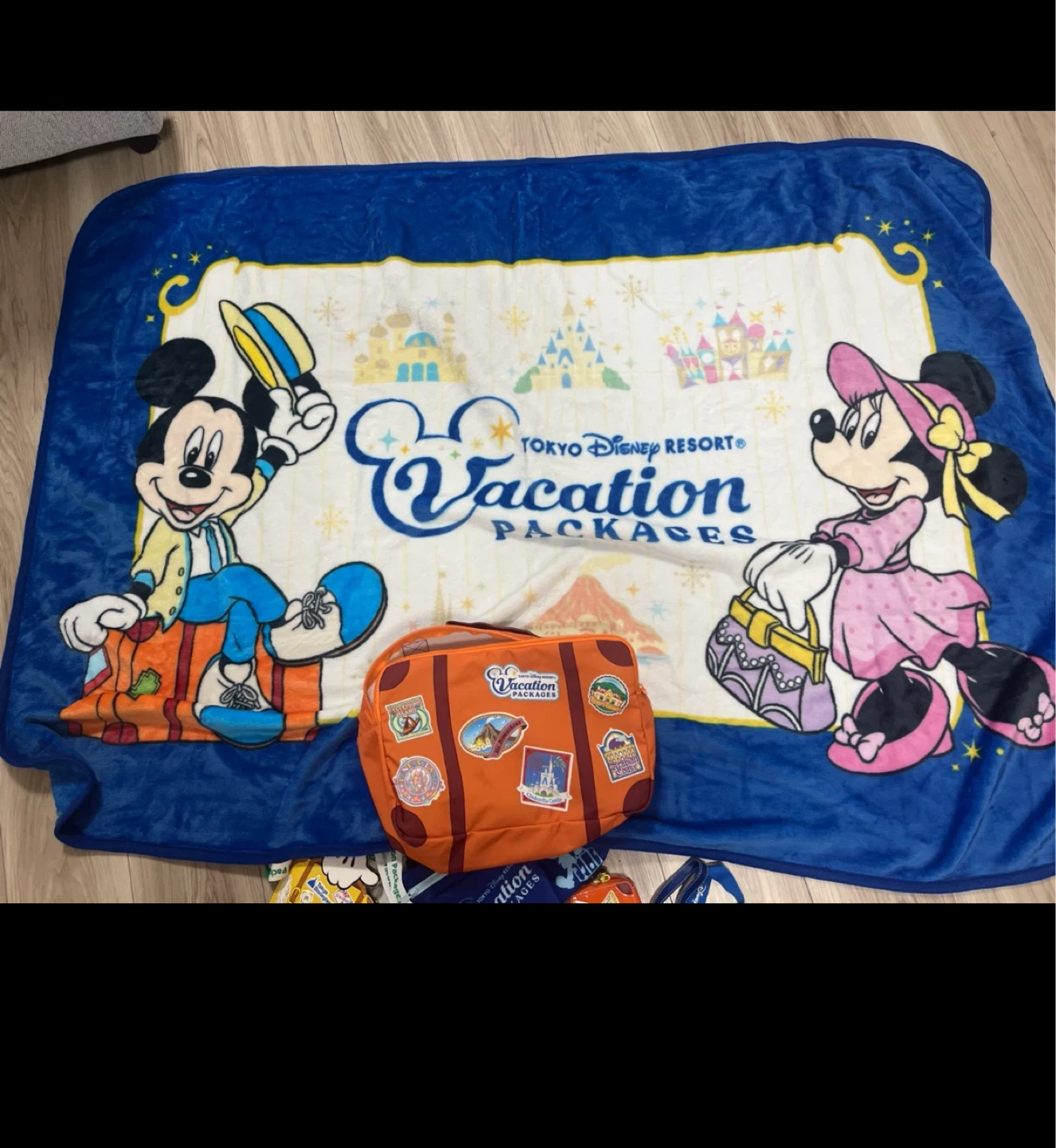 東京ディズニーリゾート ブランケット