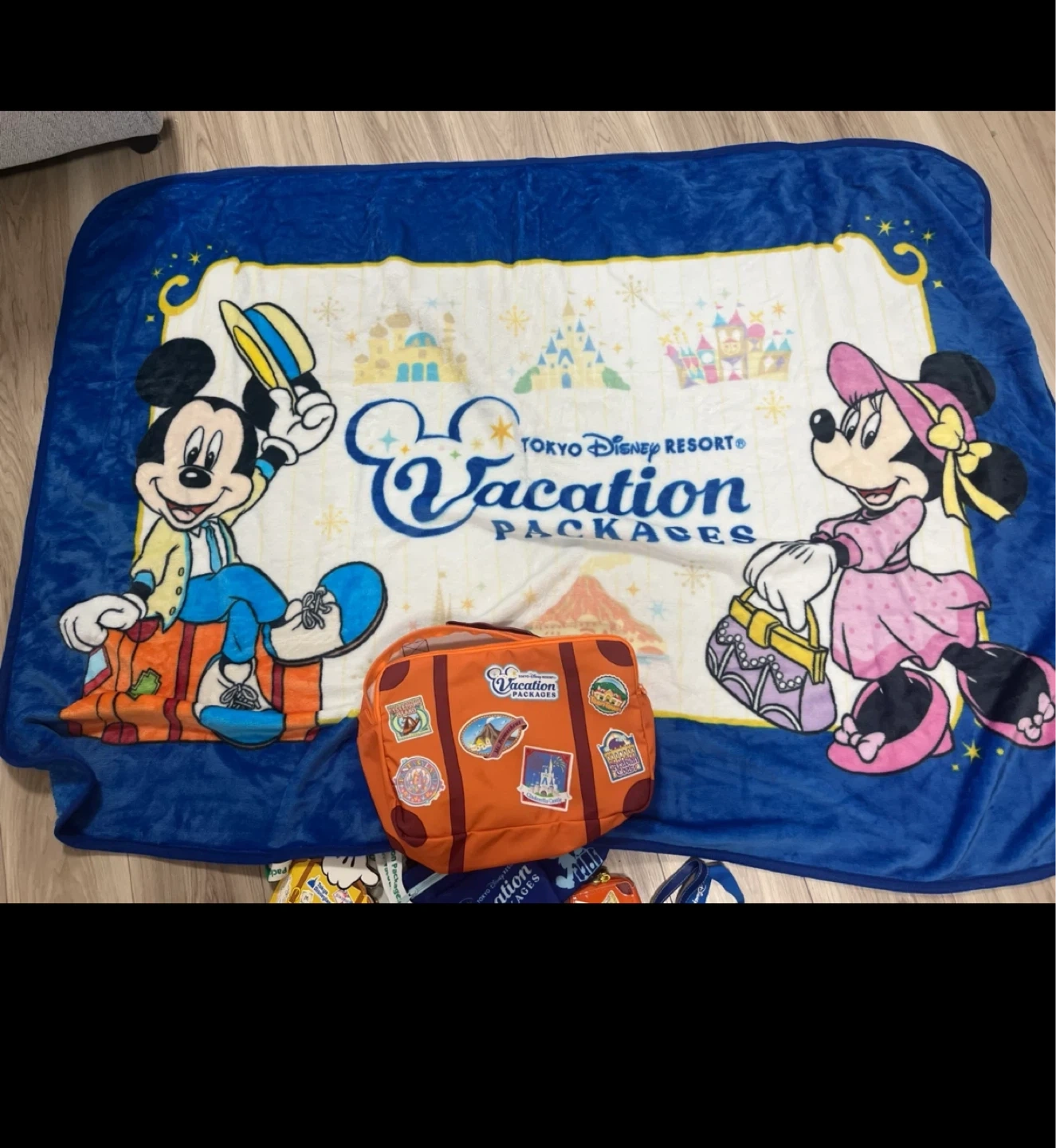 東京ディズニーリゾート ブランケット