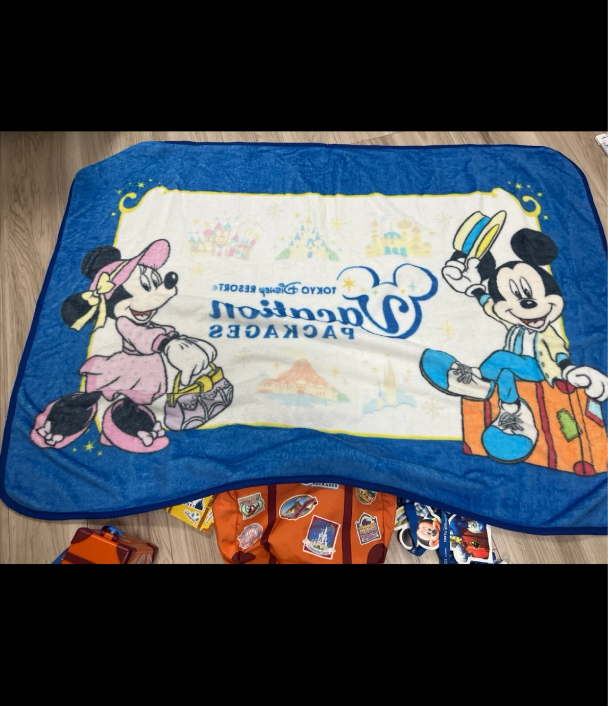東京ディズニーリゾート ブランケットの写真2枚目