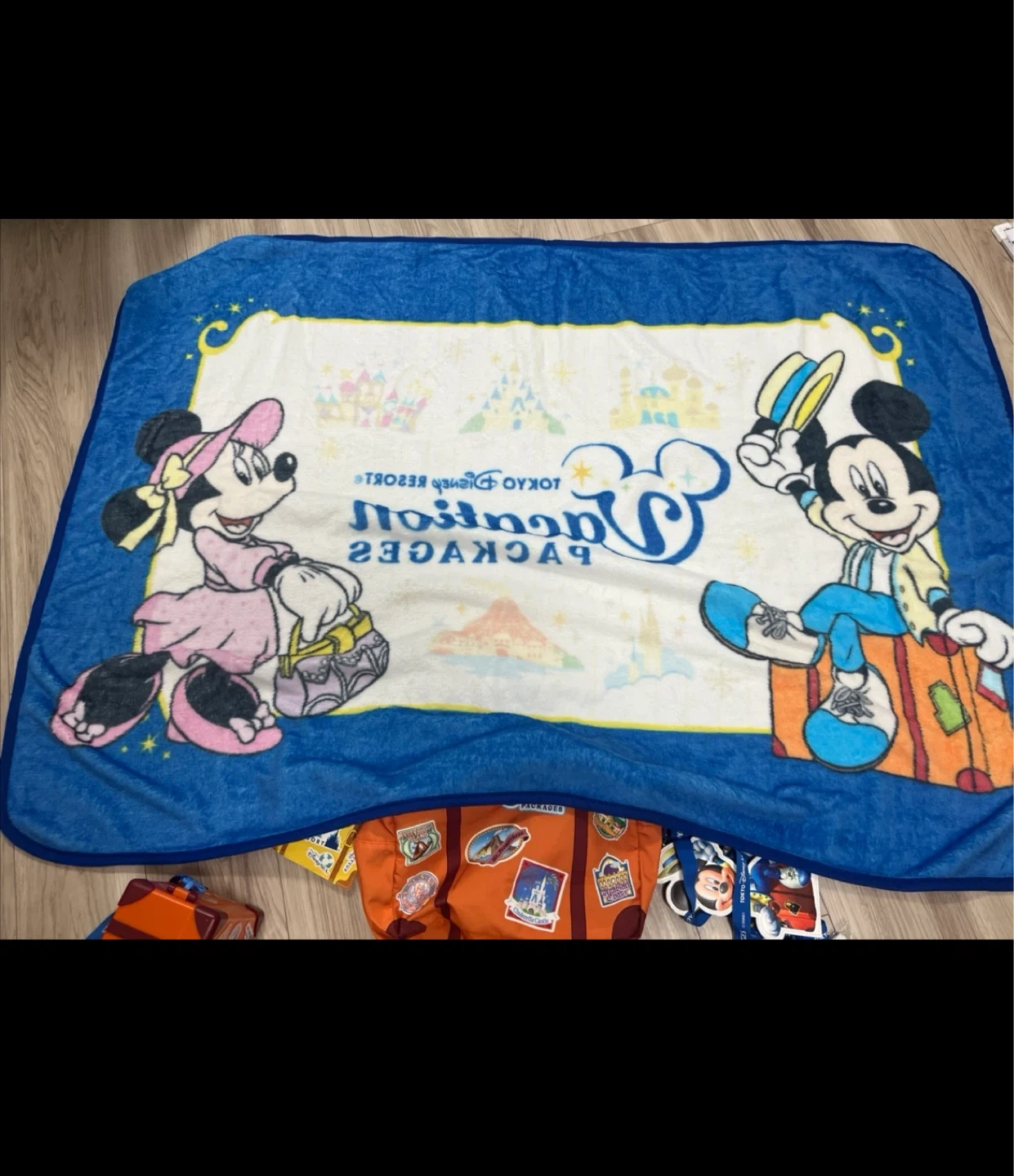 東京ディズニーリゾート ブランケットの写真2枚目