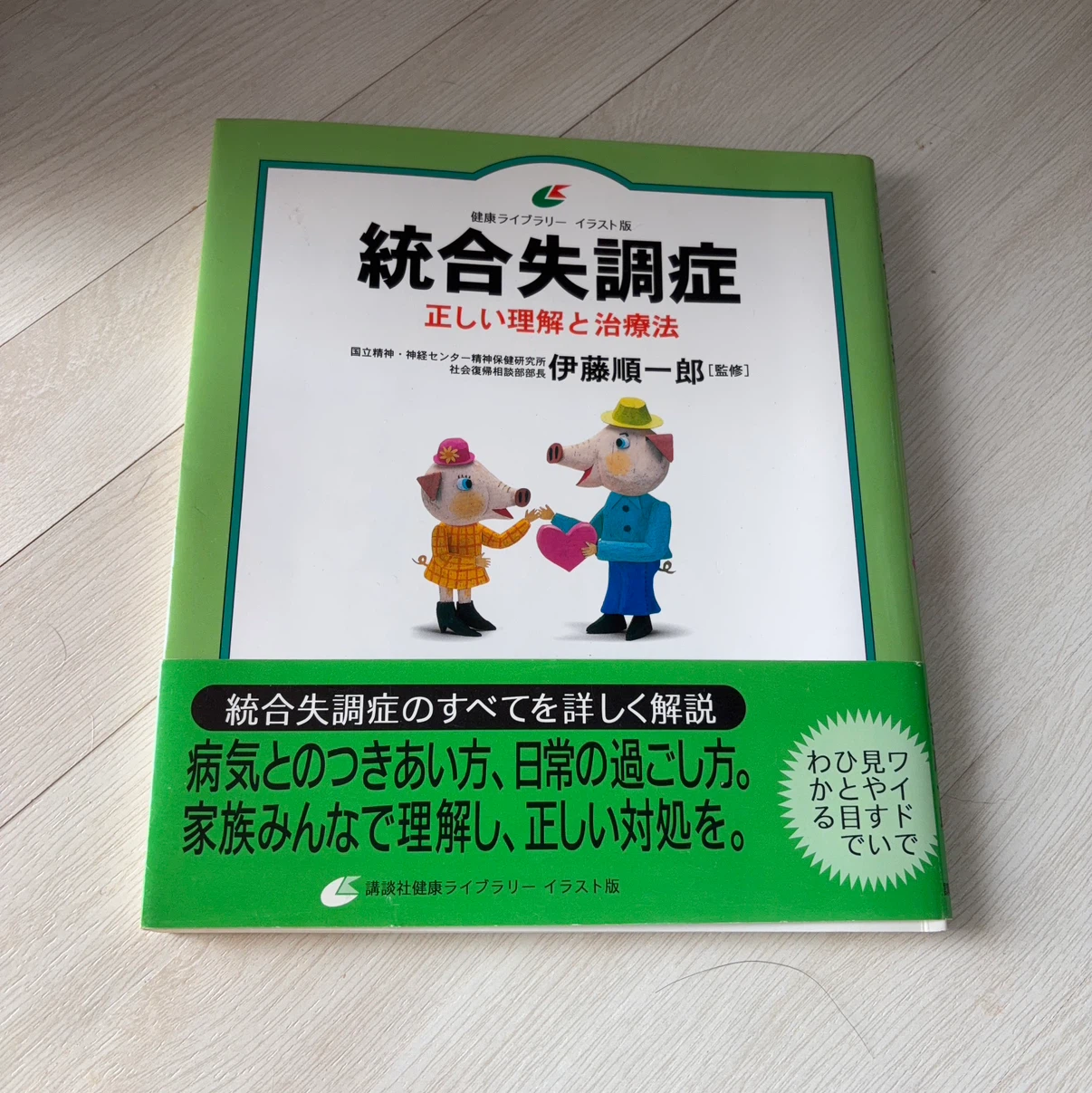 統合失調症 正しい理解と治療法 講談社