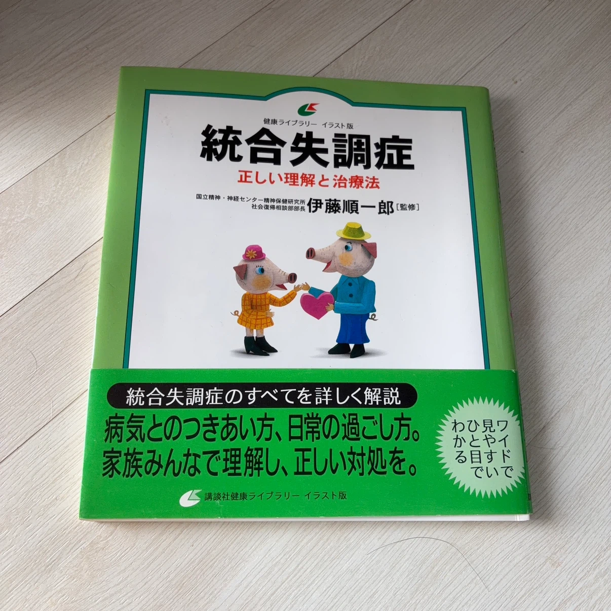 統合失調症 正しい理解と治療法 講談社
