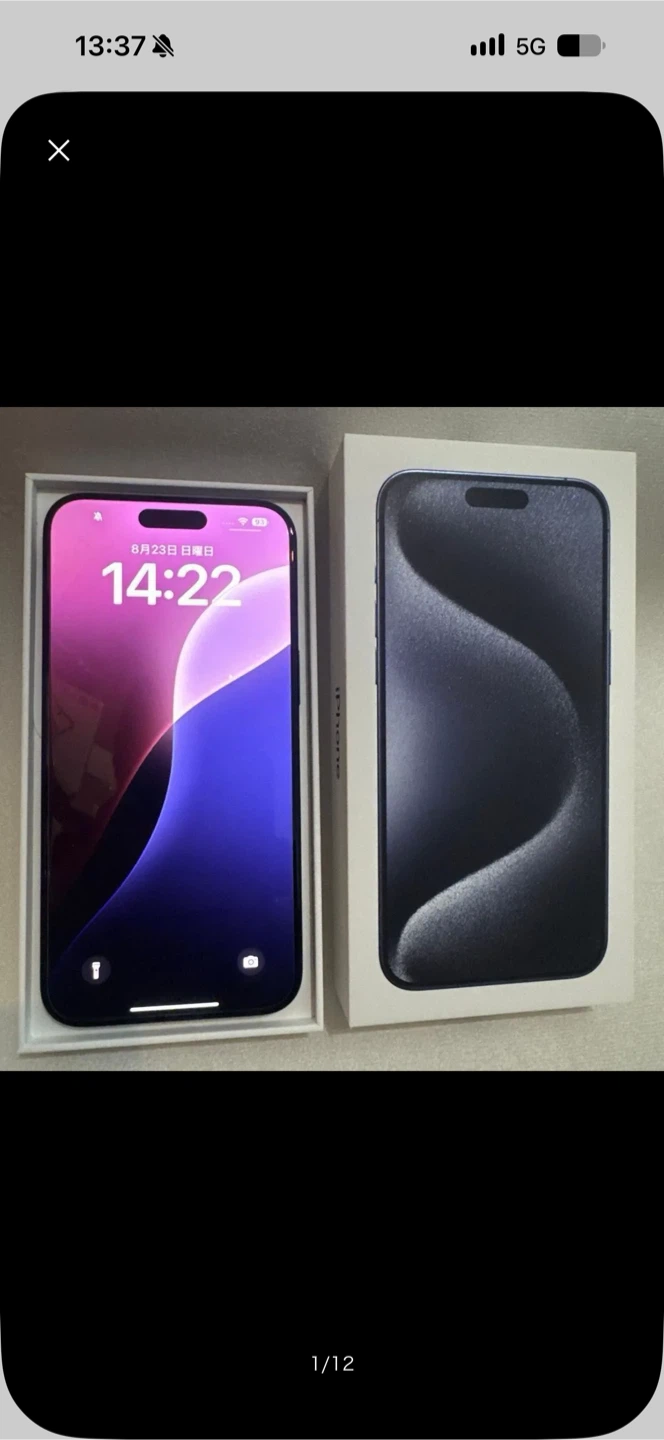 アップル iPhone 15 Pro max 256 GB (美品)
