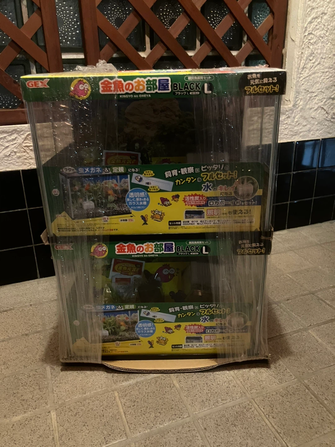 【新品未開封】GEX 金魚のお部屋 BLACK L 2個セット 観賞魚飼育フルセット
