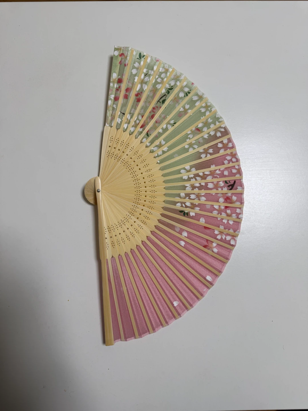 二色桜 扇子 21cm
