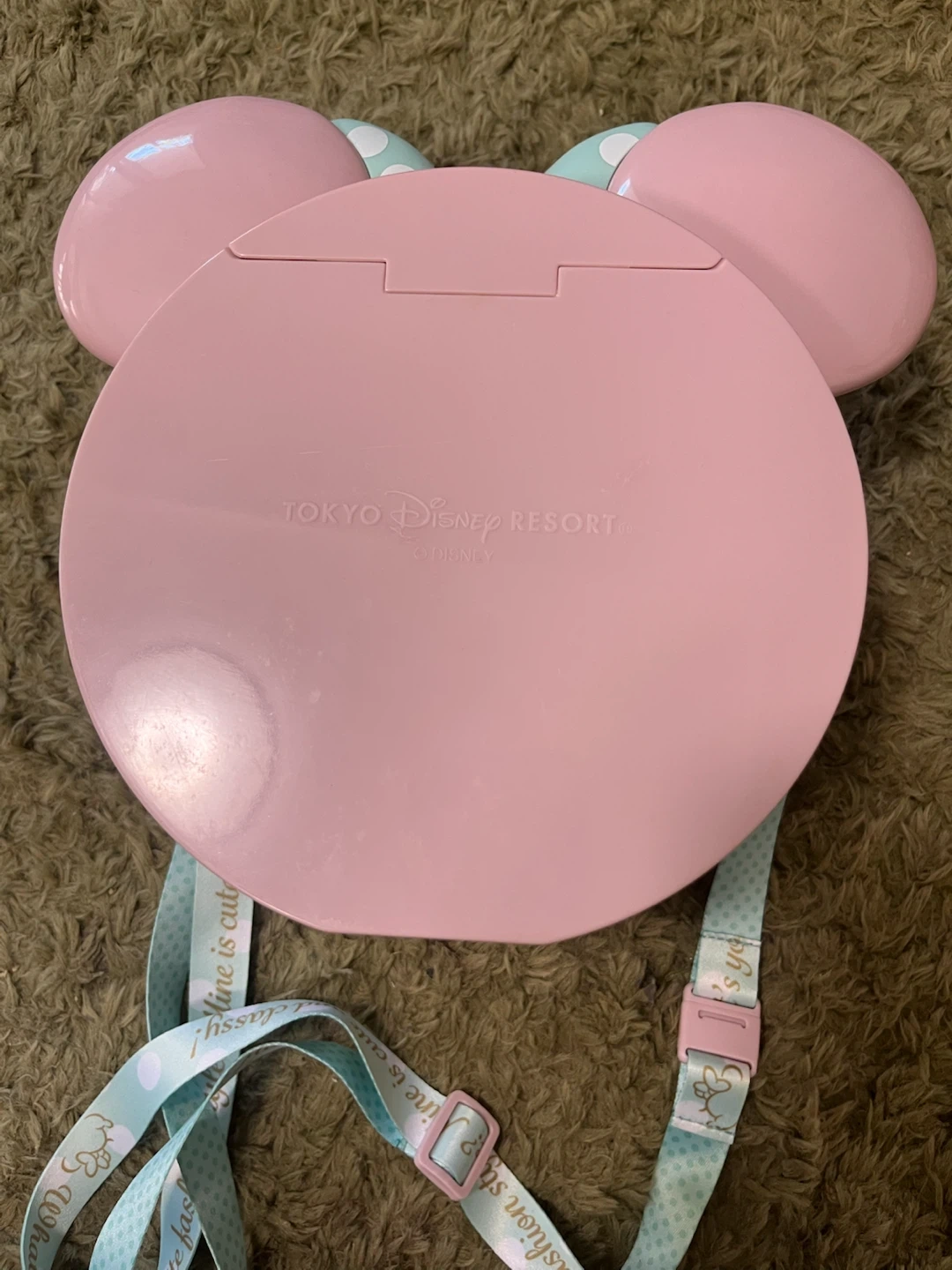 東京ディズニーリゾート ミニー ポップコーンバケットの写真4枚目