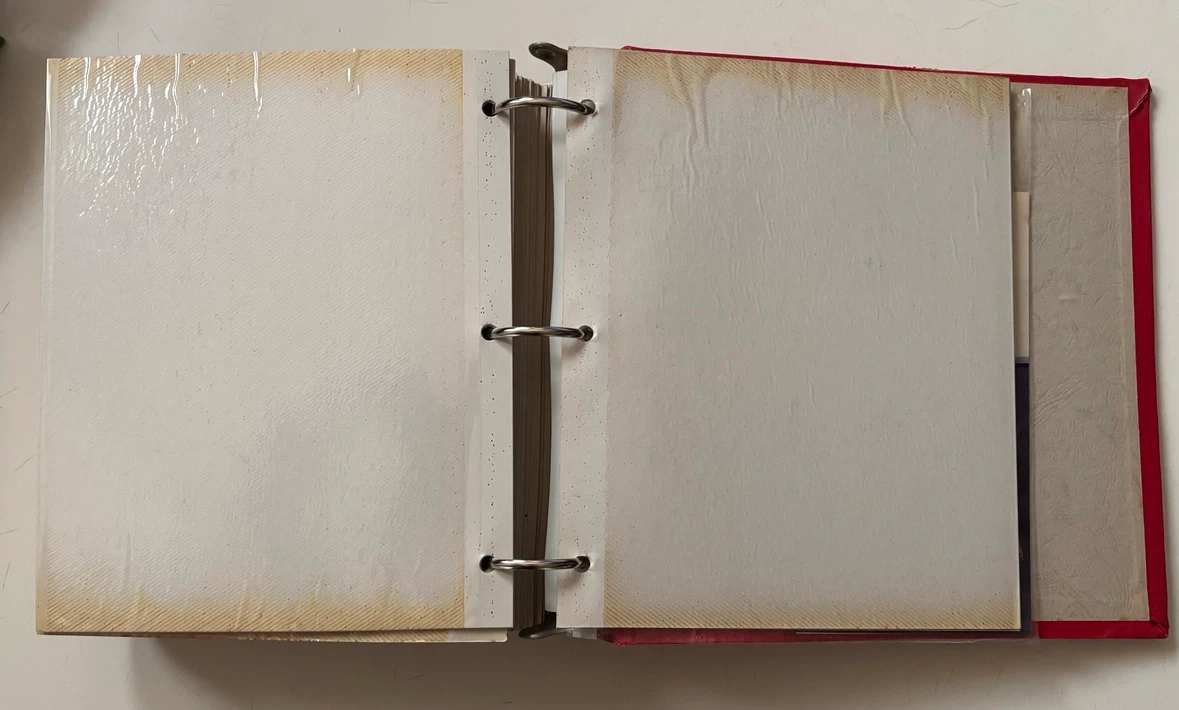 フォトアルバム 2冊セット 100ページの写真7枚目