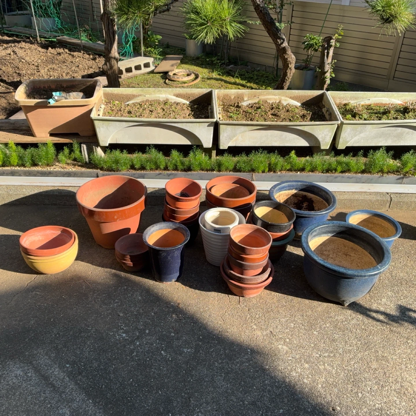 植木鉢 多数セット まとめ売り