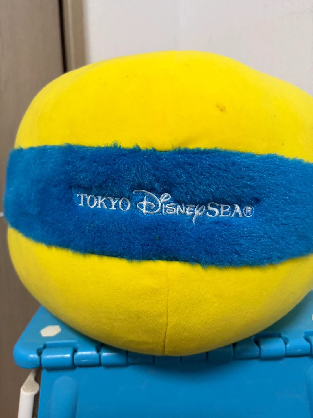 ピクサー プレイタイム ボールクッションの写真3枚目