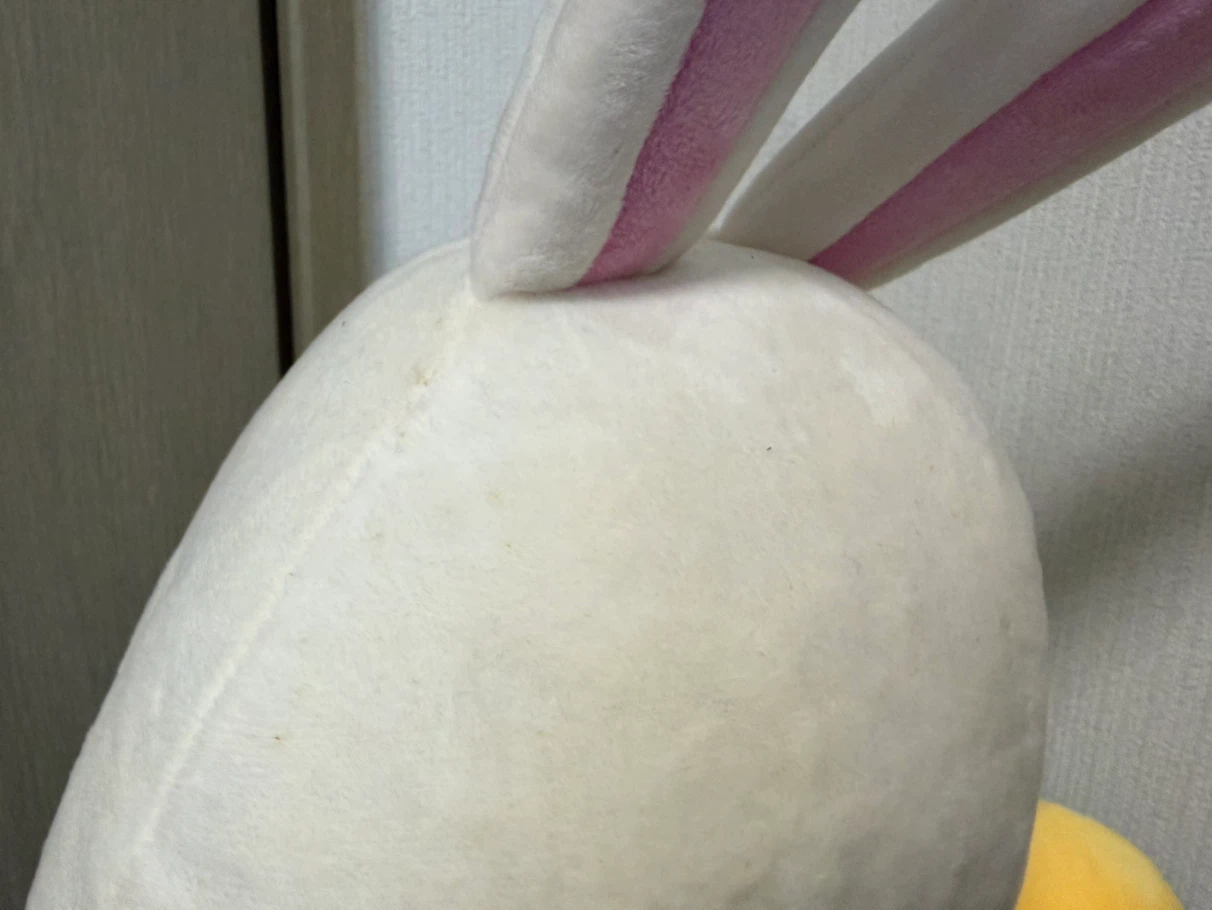 東京ディズニーランド　ディズニーイースター2019 うさたまクッションの写真5枚目