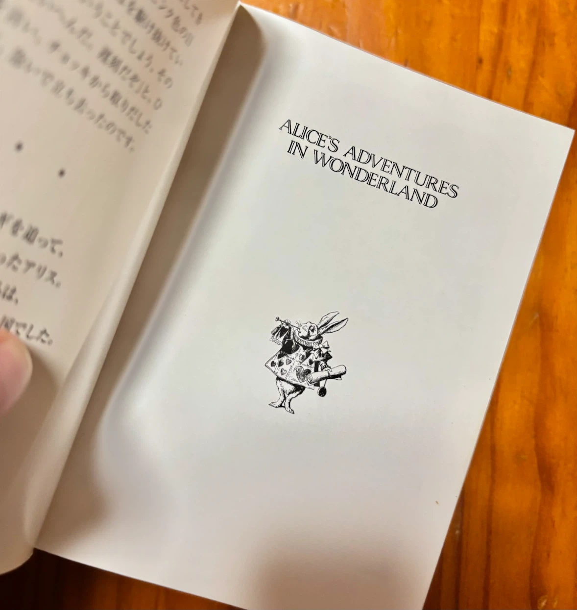 Alice'sAdventuresinWonderland 洋書 講談社 ふしぎの国のアリスの写真3枚目