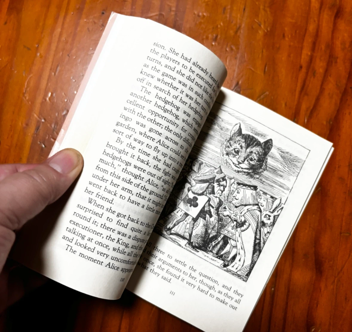 Alice'sAdventuresinWonderland 洋書 講談社 ふしぎの国のアリスの写真4枚目
