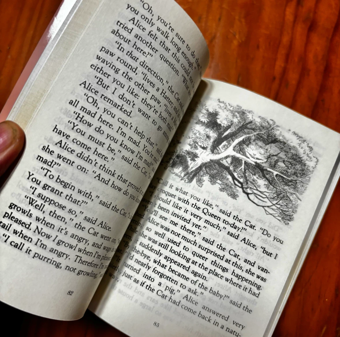 Alice'sAdventuresinWonderland 洋書　講談社　ふしぎの国のアリスの写真5枚目