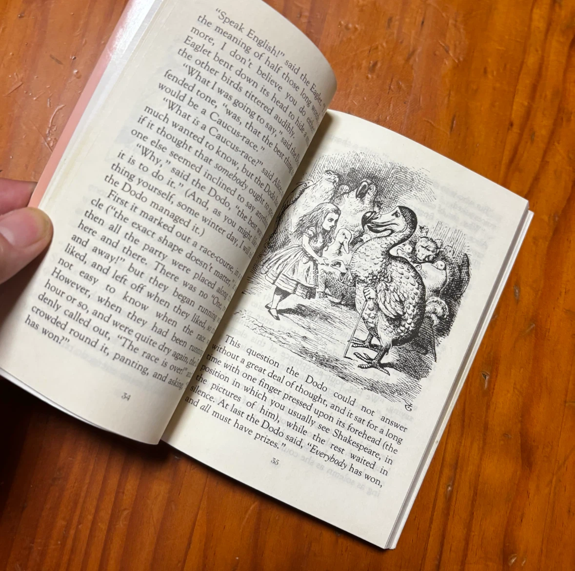 Alice'sAdventuresinWonderland 洋書　講談社　ふしぎの国のアリスの写真6枚目