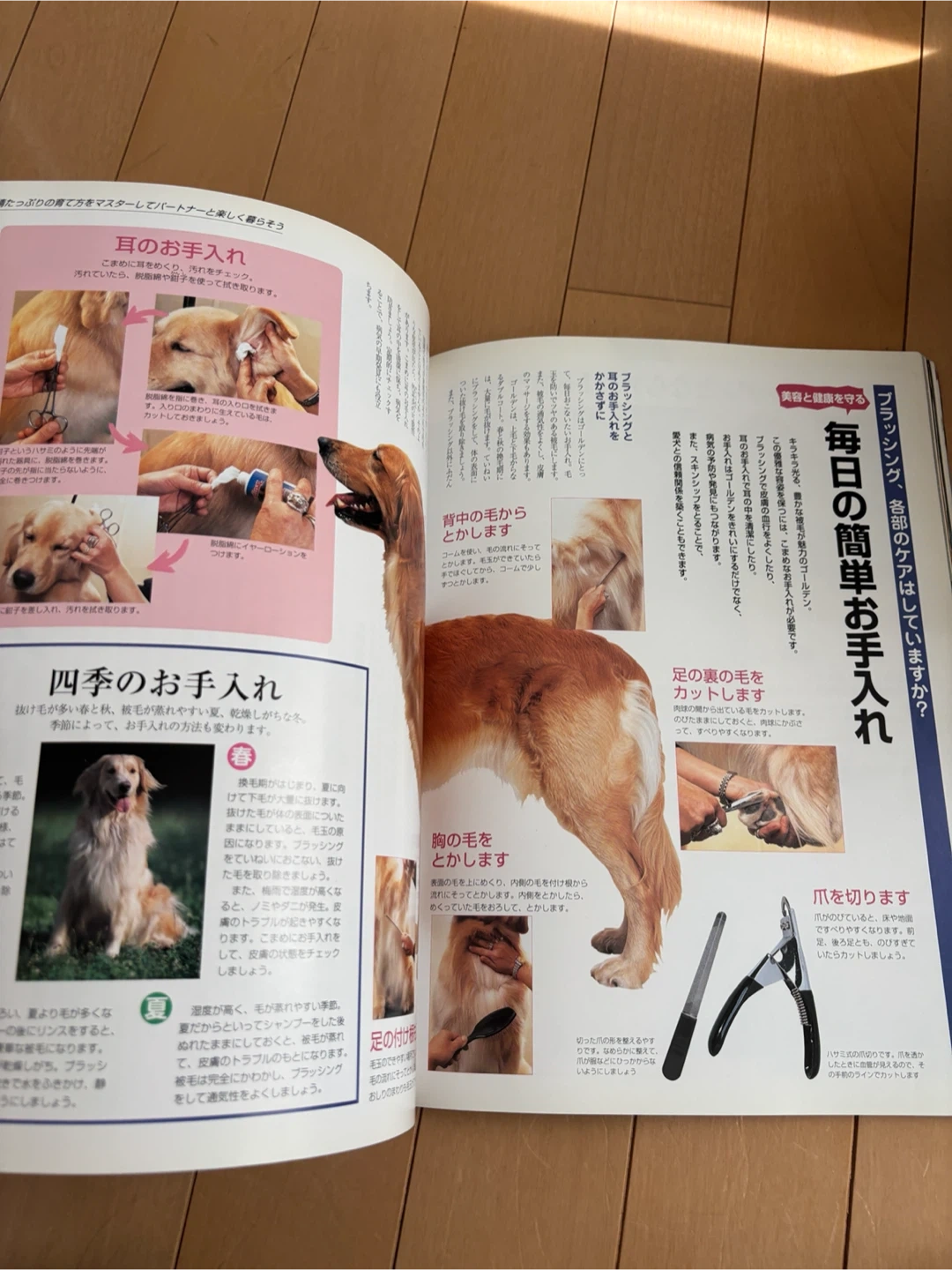 ゴールデン・レトリバー大好き! ムック本の写真3枚目