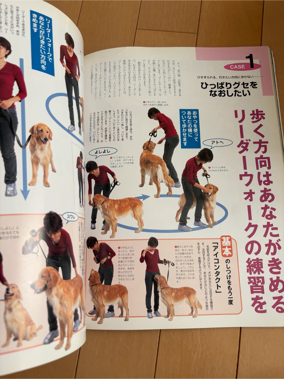 ゴールデン・レトリバー大好き！ ムック本の写真4枚目