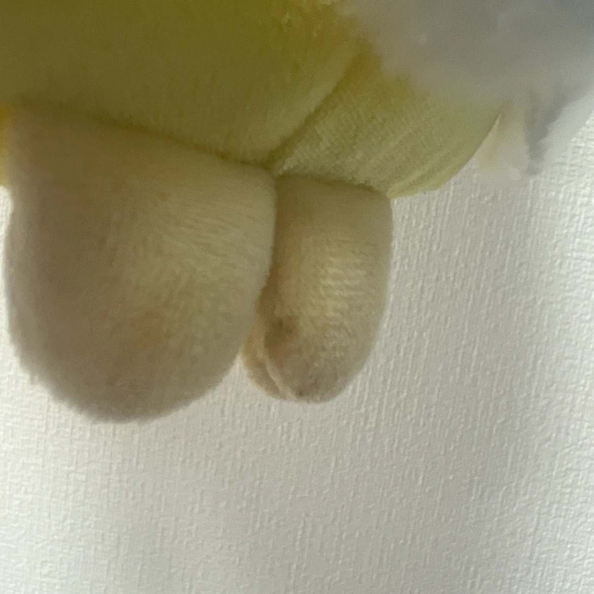 ちいかわ 妖精 ぬいぐるみ まとめ売りの写真4枚目