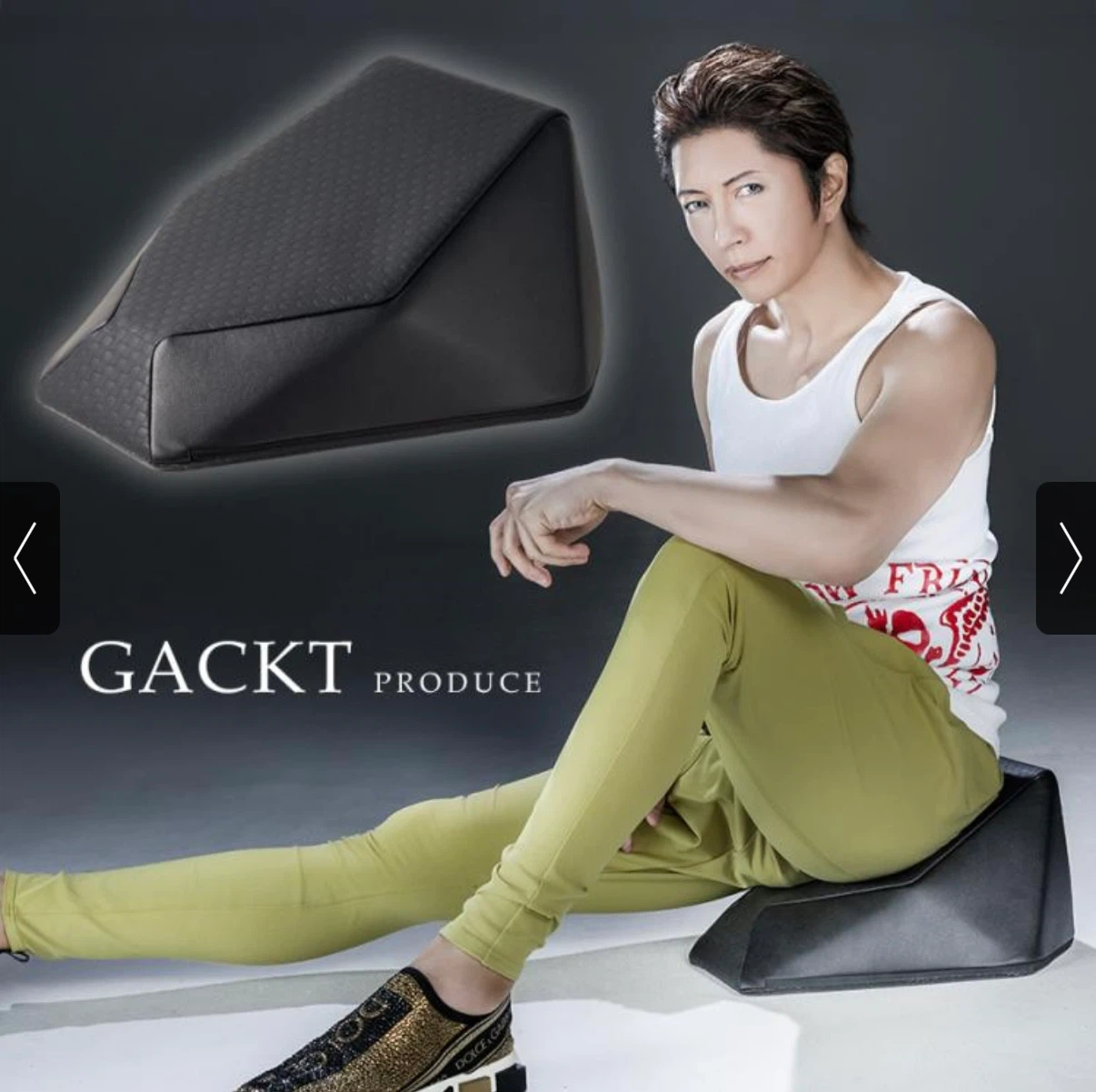 GACKTプロデュース エクストラ クッション 振動機能付き