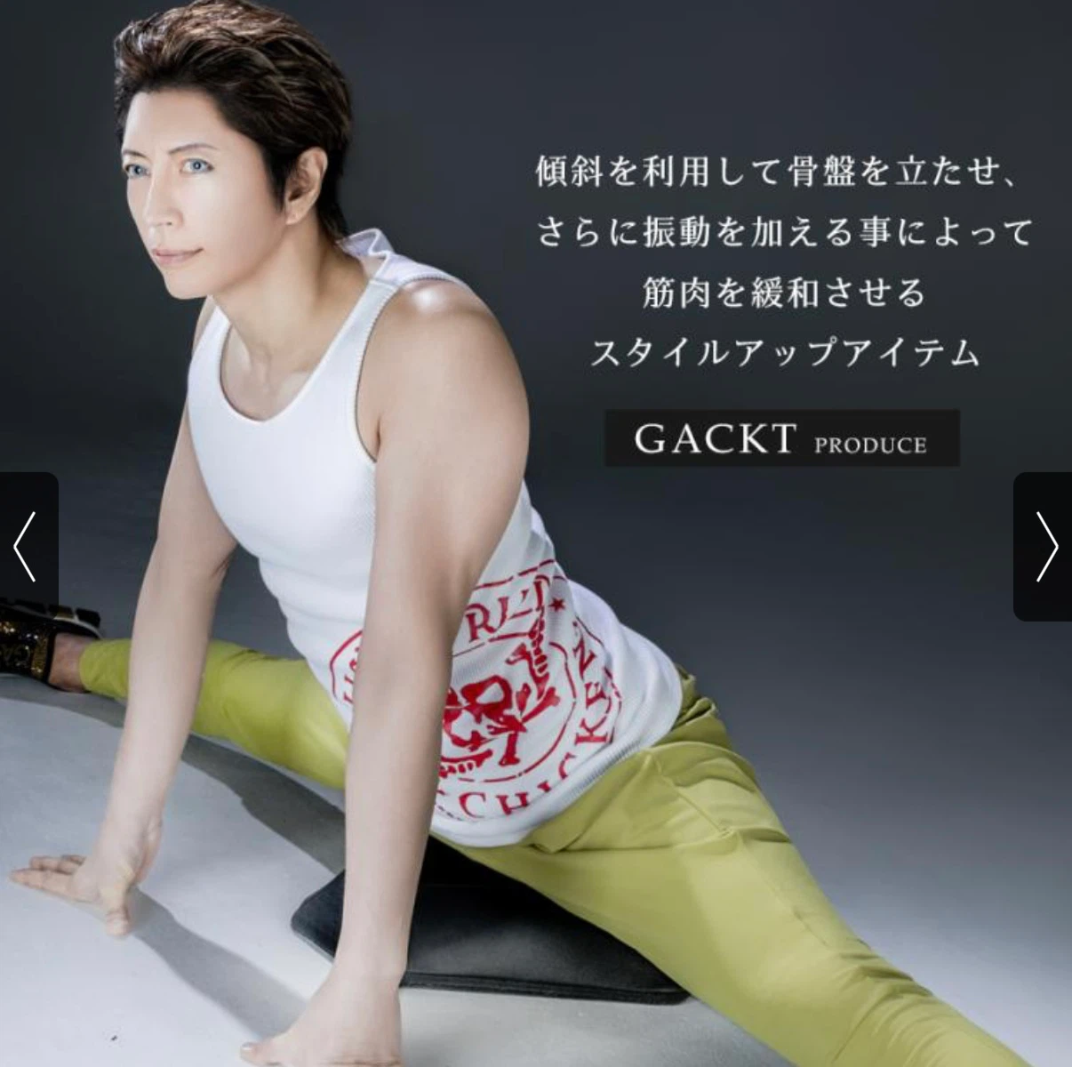 GACKTプロデュース エクストラ クッション 振動機能付きの写真2枚目