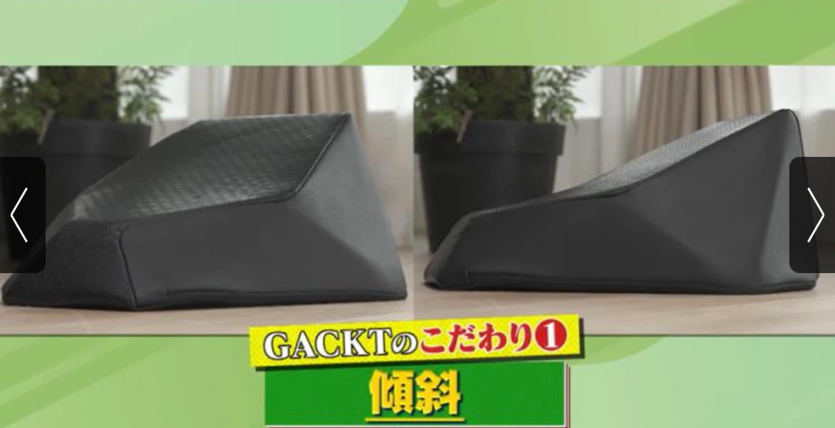 GACKTプロデュース エクストラ クッション 振動機能付きの写真3枚目