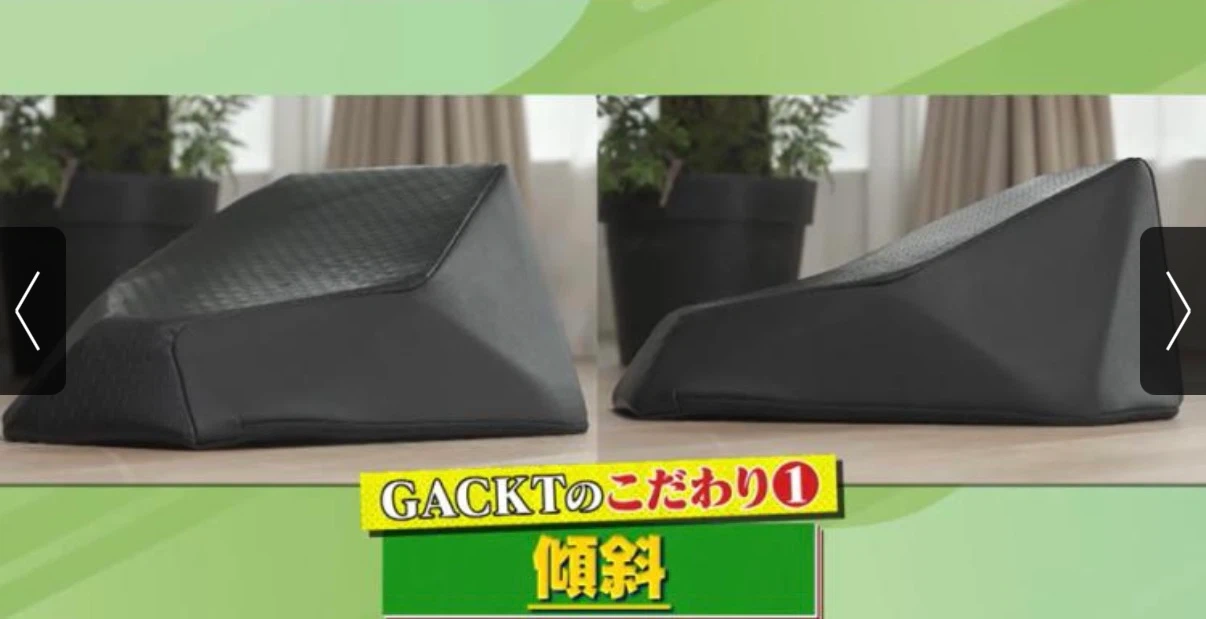 GACKTプロデュース エクストラ クッション 振動機能付きの写真3枚目