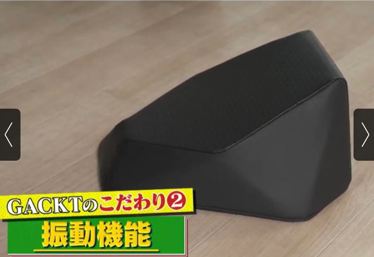 GACKTプロデュース エクストラ クッション 振動機能付きの写真5枚目