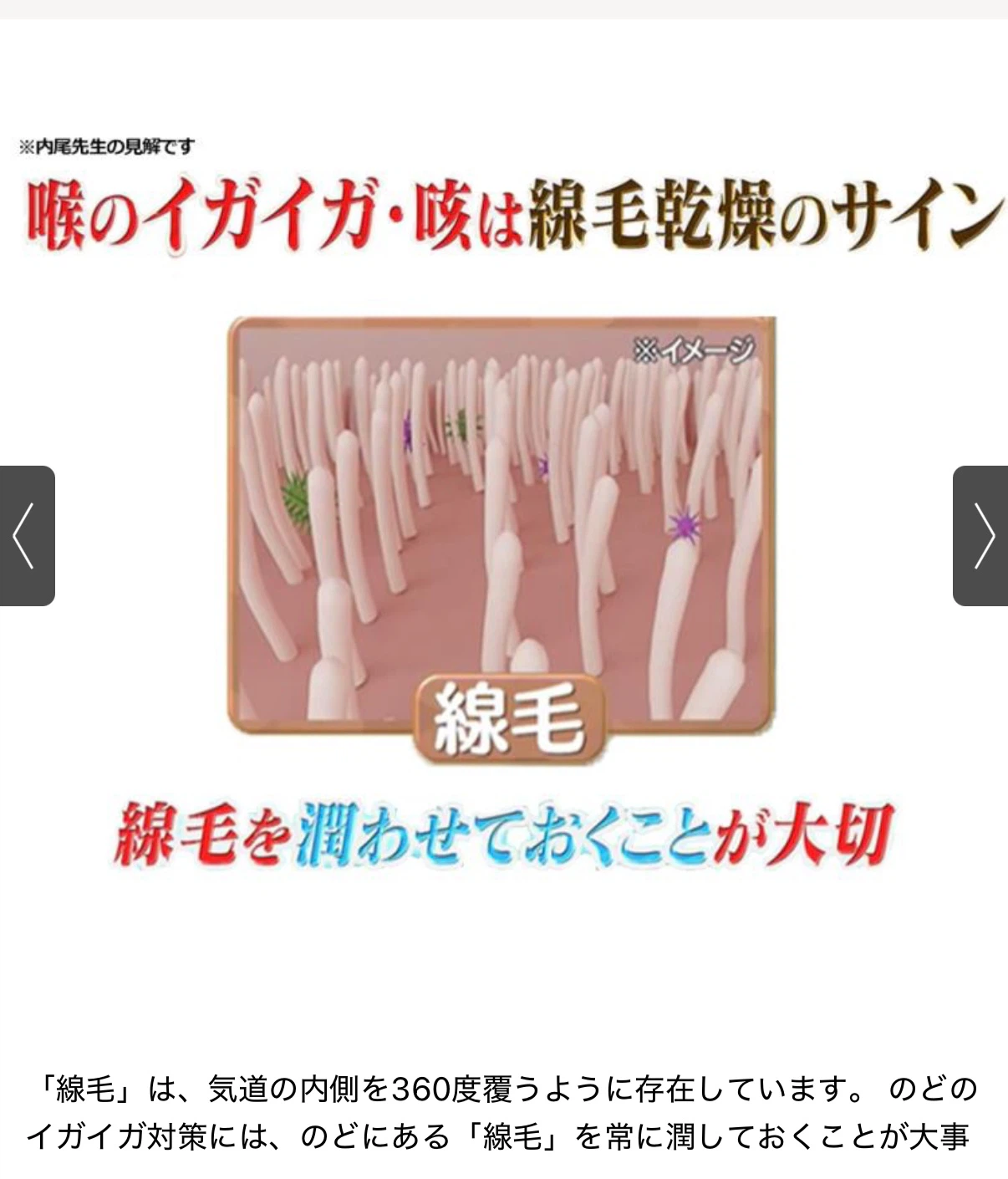 メディサナ 家庭用超音波吸入器 2個セットの写真4枚目