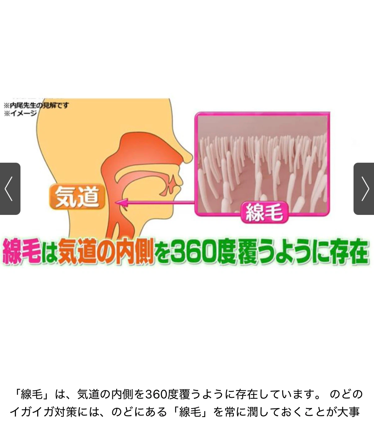 メディサナ 家庭用超音波吸入器 2個セットの写真5枚目