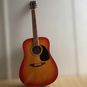 ファルコン アコースティックギター FSG-1D CAO