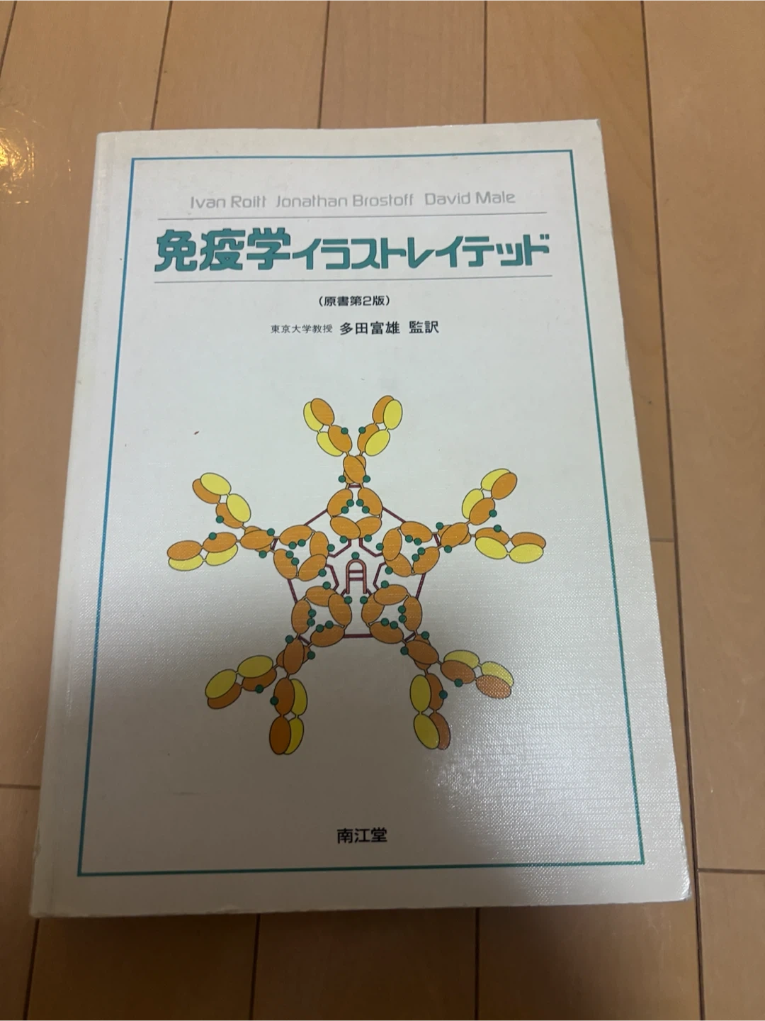 免疫学イラストレイテッド 原書第2版