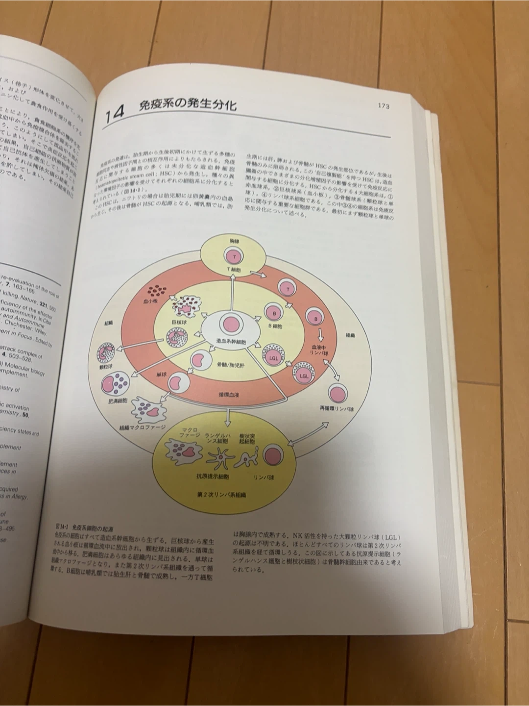 免疫学イラストレイテッド 原書第2版の写真4枚目