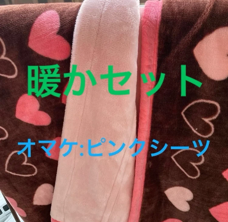 超かわいい＆暖か〜い　毛布　ウオッシャブル　ブランケット　シングルサイズ　オマケ：ピンク　ベッドシーツ