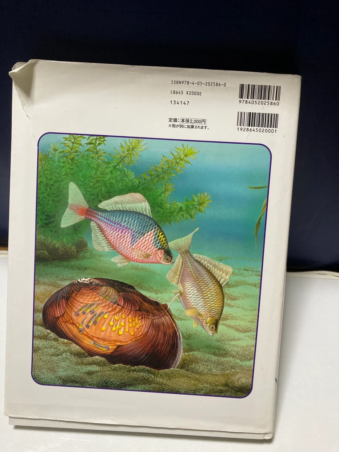 生き物図鑑 定価2,000円の写真2枚目