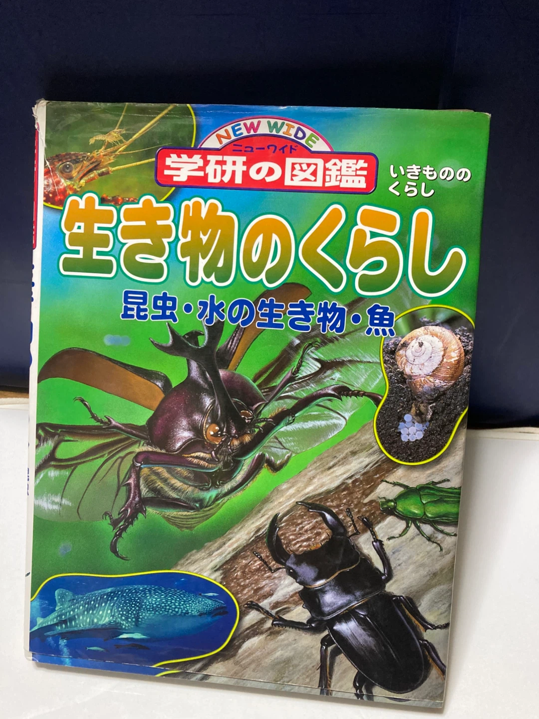 生き物図鑑　定価2,000円