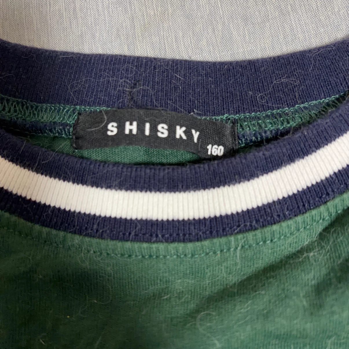 シスキー Tシャツ 160 グリーンの写真2枚目