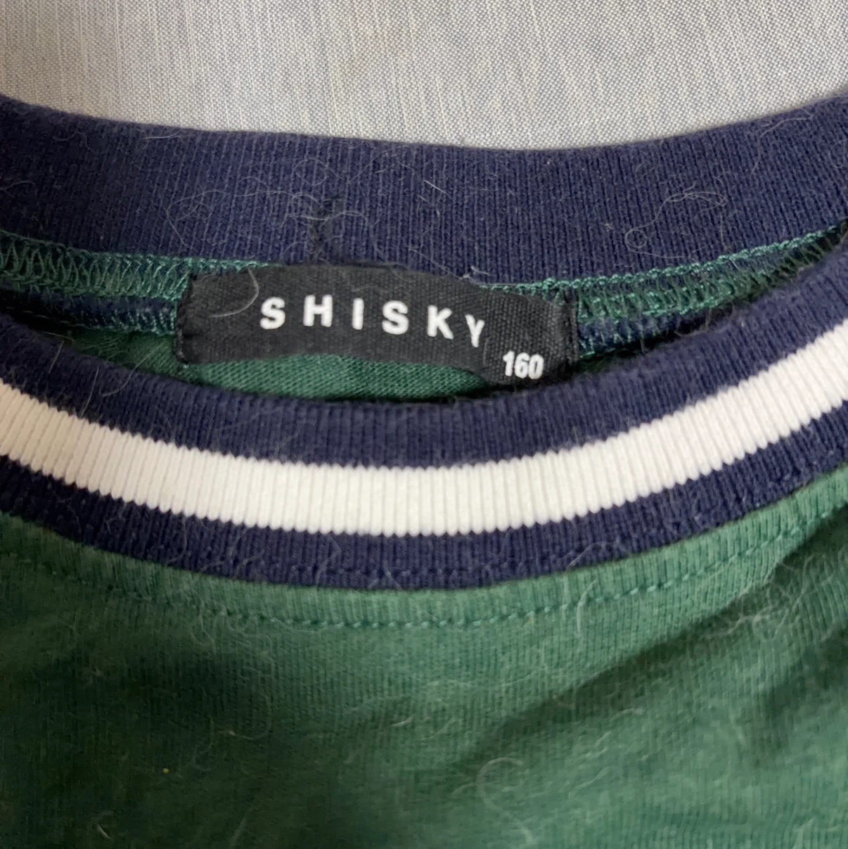シスキー Tシャツ 160 グリーンの写真2枚目