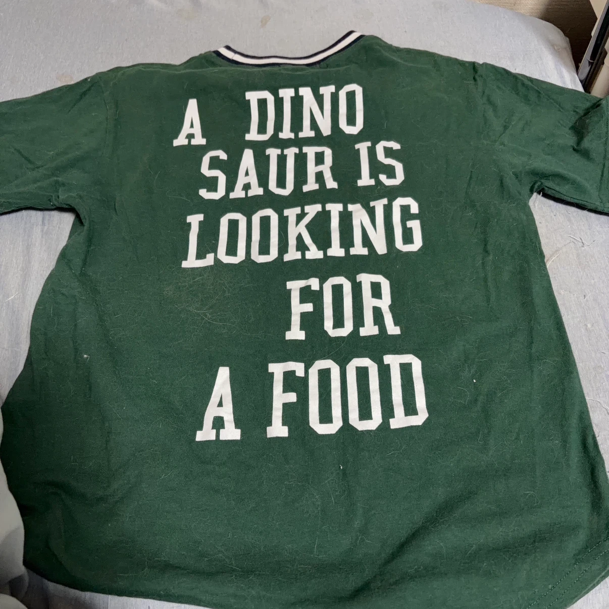 シスキー Tシャツ 160 グリーンの写真4枚目