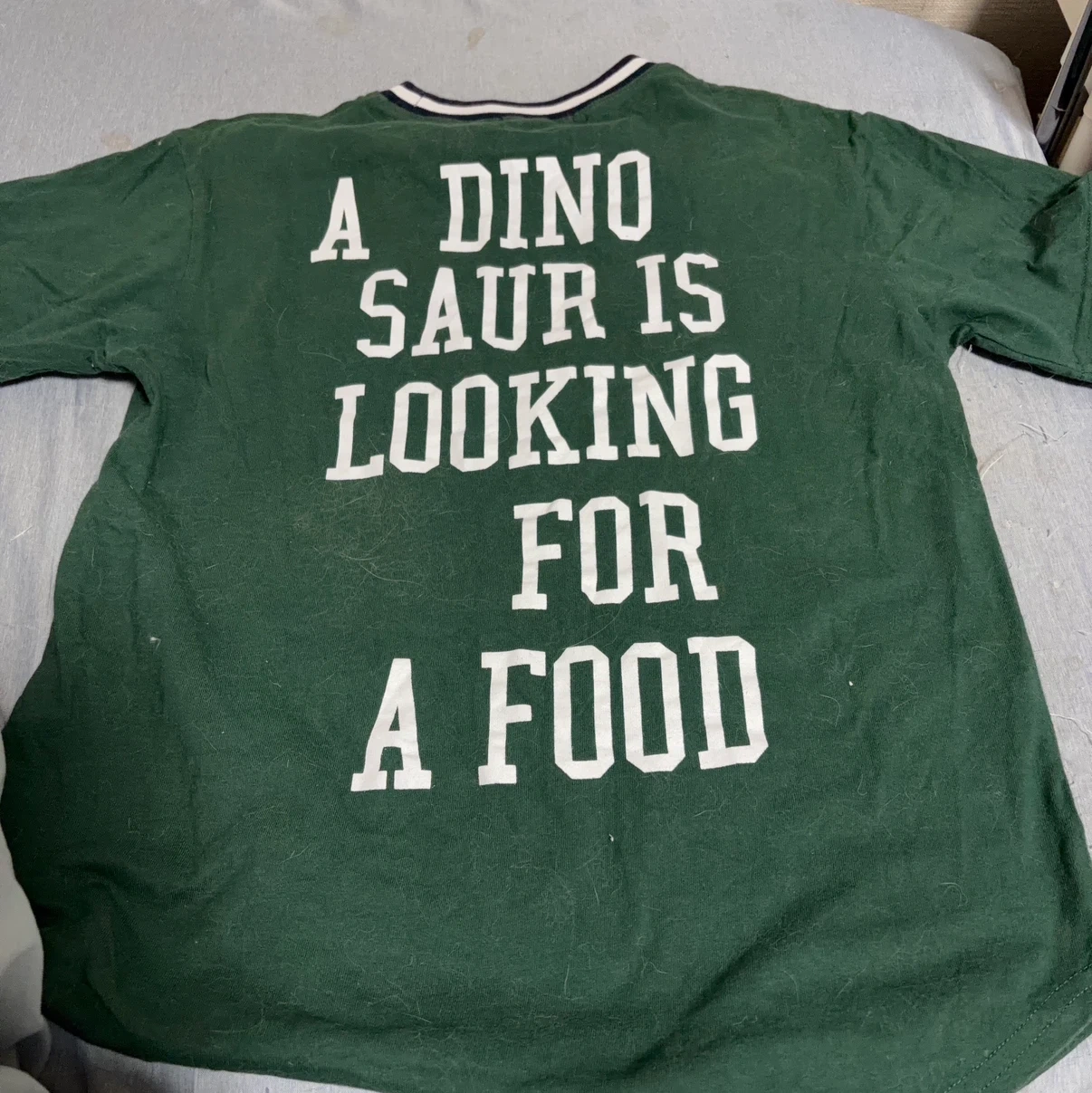 シスキー Tシャツ 160 グリーンの写真4枚目