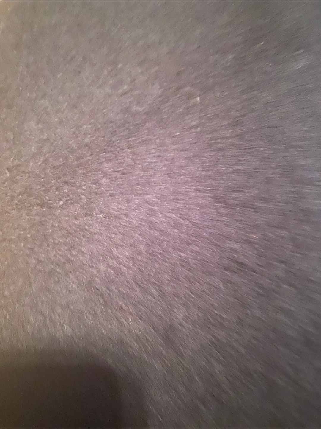 アメリカンホリック 切り替えキルティングコート 黒 Mの写真6枚目