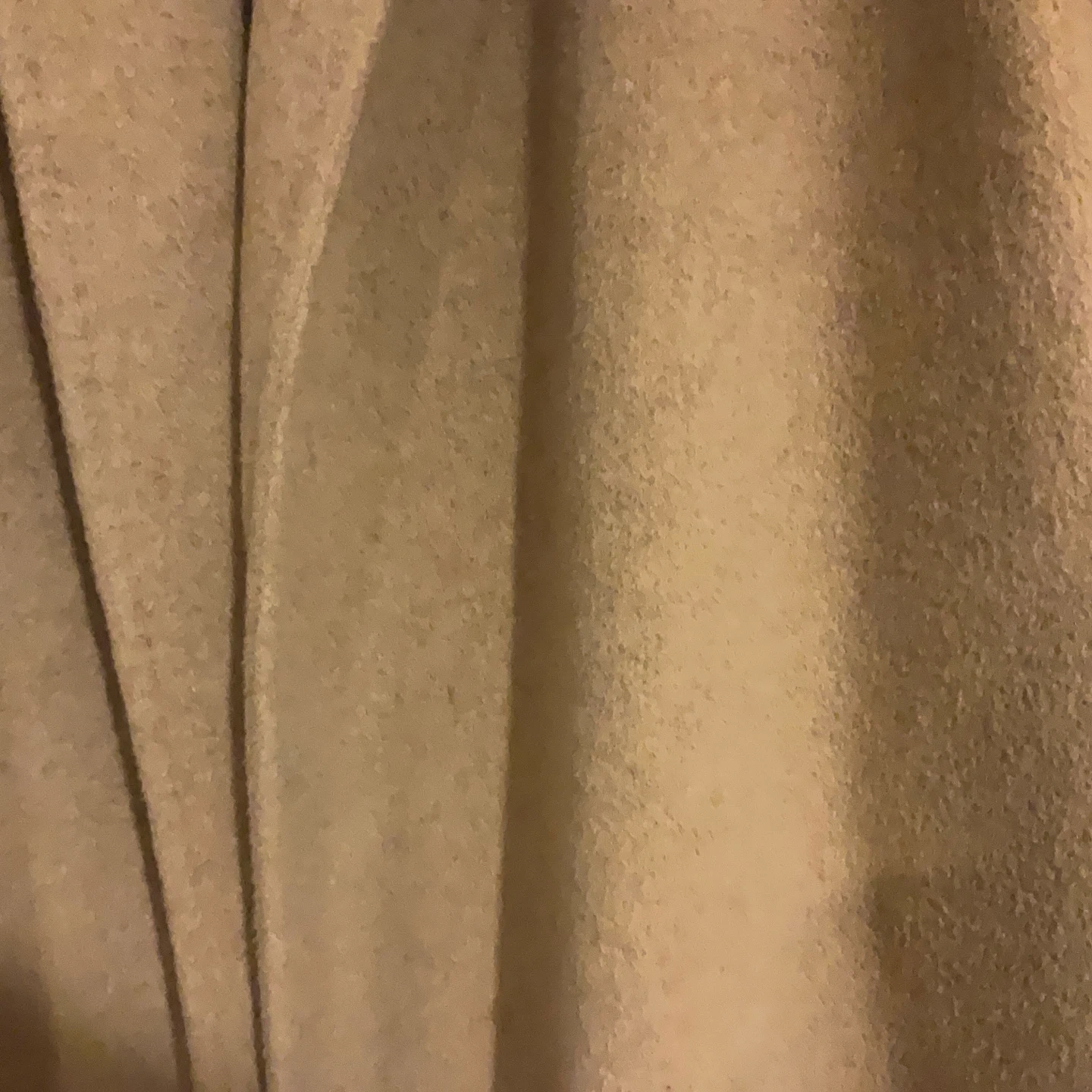 Max mara studio coat