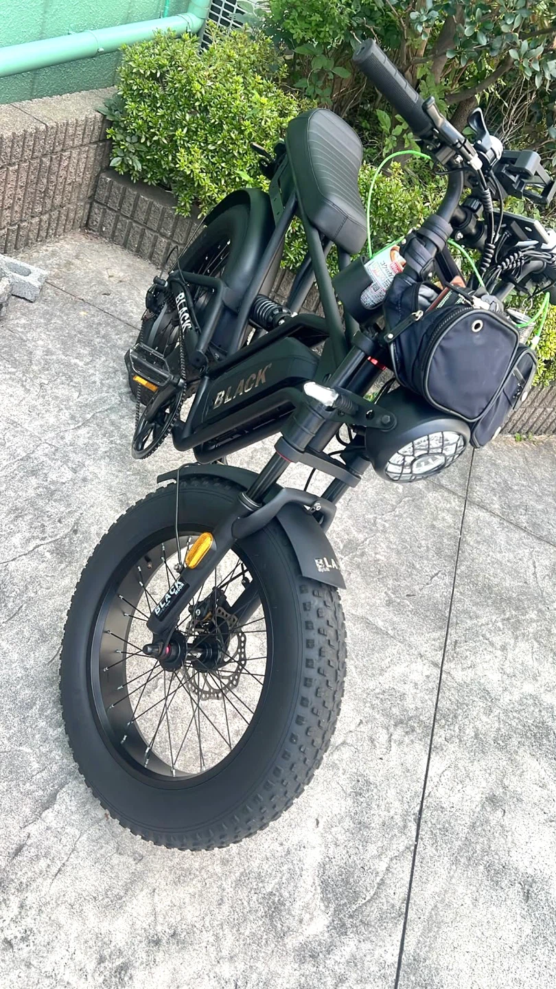 🚴✨電動ファットバイク🌟✨の写真2枚目