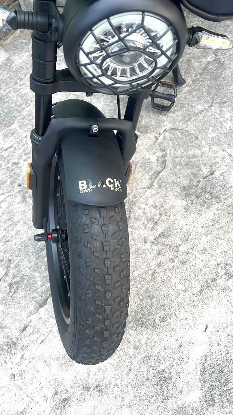 🚴✨電動ファットバイク🌟✨の写真8枚目