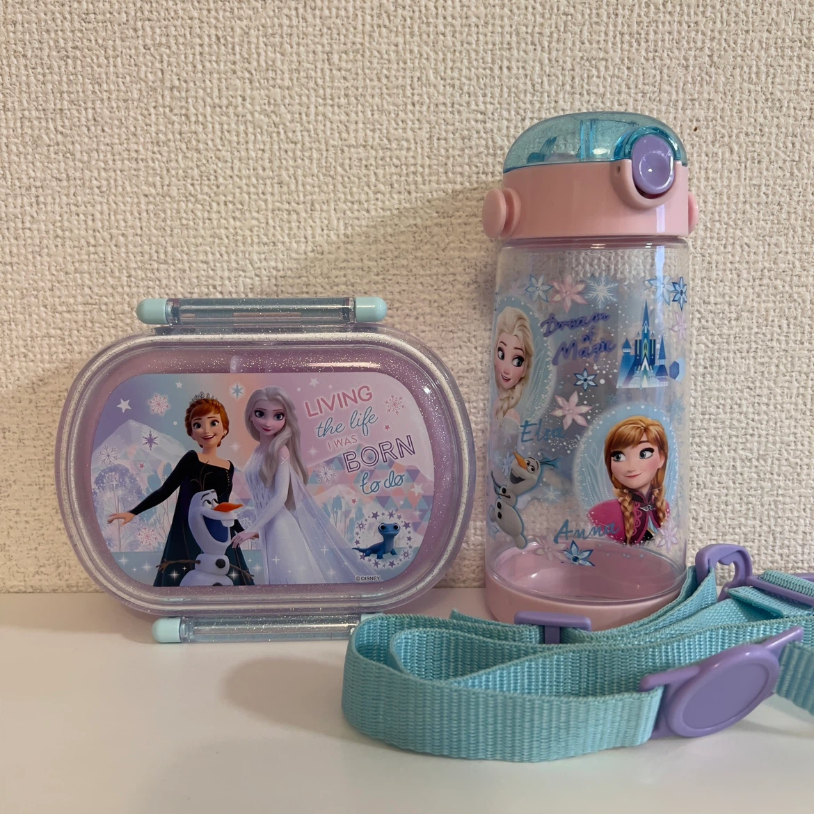 スケーター アナと雪の女王 お弁当箱 水筒 セット