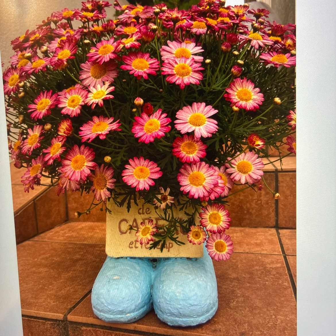 ブーツ型 鉢カバー プランターの写真8枚目