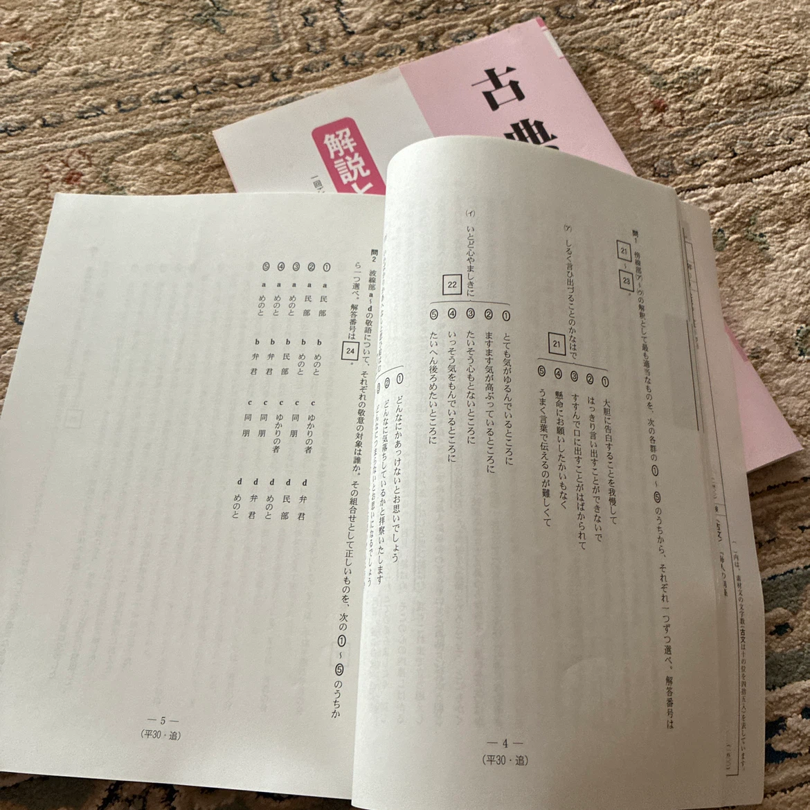 共通テスト国語過去問 現代文・古文セットの写真5枚目
