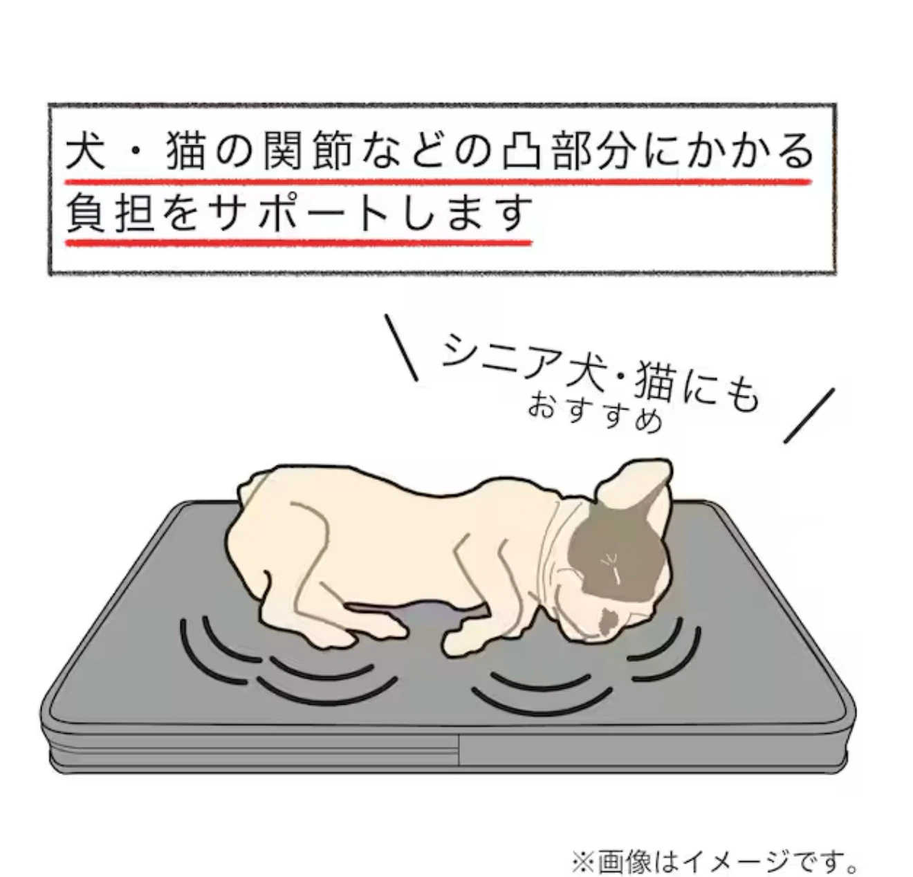 ニトリ ペット用ケアクッション グレーの写真5枚目