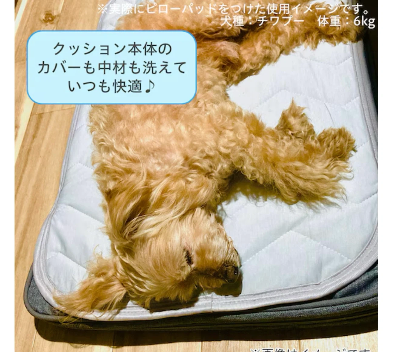 ニトリ ペット用ケアクッション グレーの写真7枚目