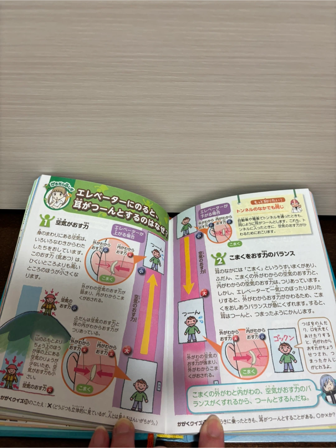 なぜ？どうして？科学のふしぎ  2冊セットの写真3枚目