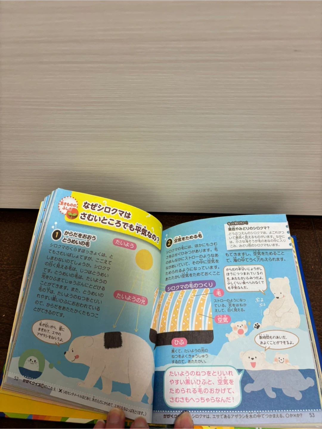 なぜ?どうして?科学のふしぎ 2冊セットの写真5枚目
