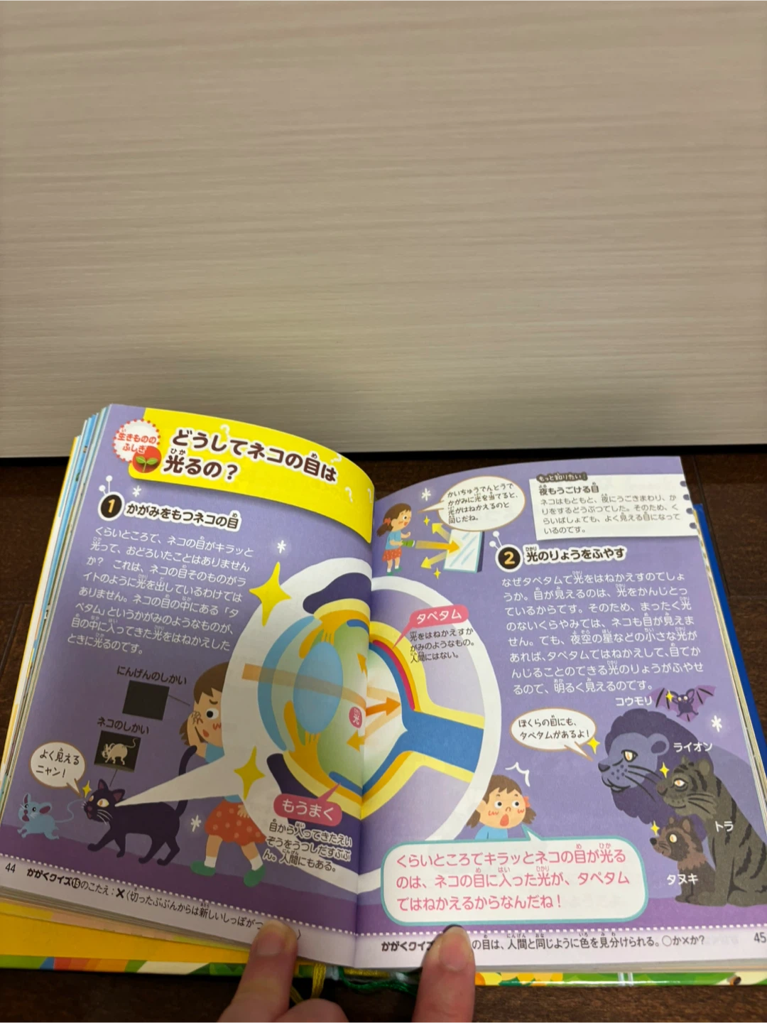 なぜ？どうして？科学のふしぎ  2冊セットの写真6枚目